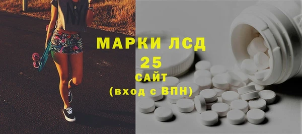 PSILOCYBIN Заводоуковск