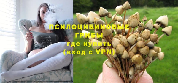ALPHA PVP Заволжье